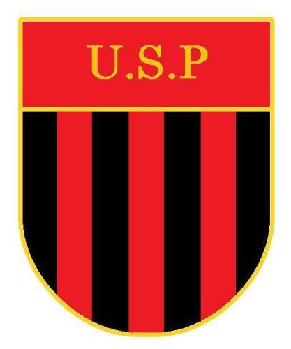 Logo US PRECIGNE FOOTBALL